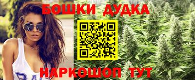 тгк Заволжье
